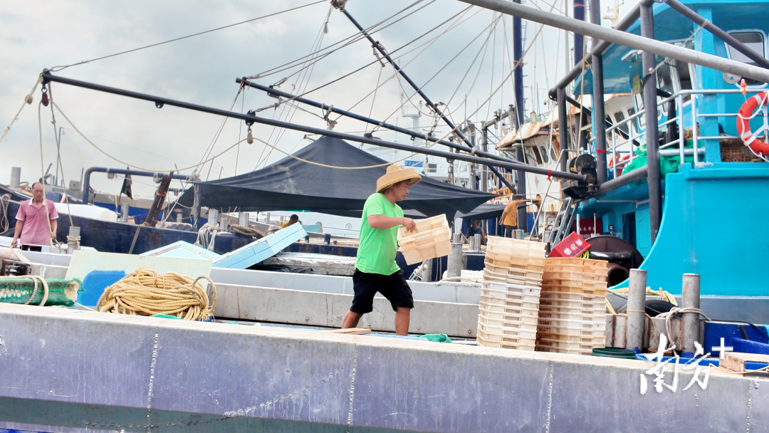 entit, 已经做好了