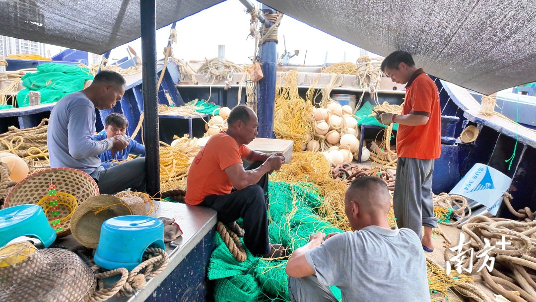 及时化解防, entit